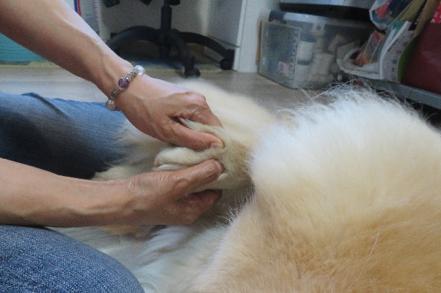 ファイル 6344-2.jpg