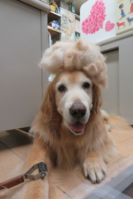 ファイル 6347-1.jpg