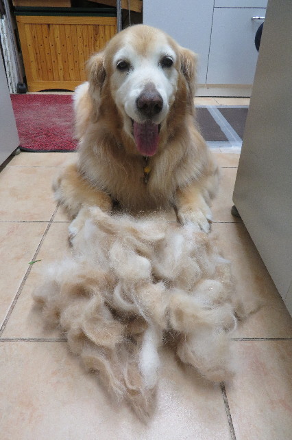 ファイル 6347-2.jpg