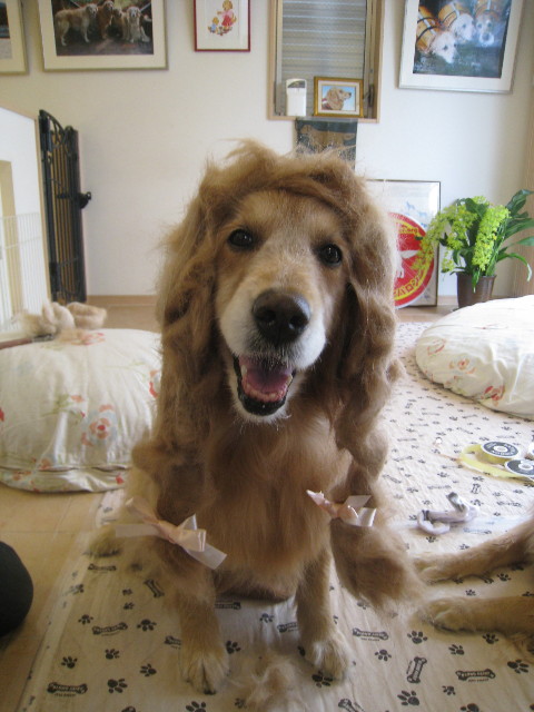 ファイル 6347-5.jpg