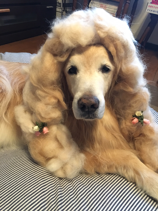 ファイル 6348-1.jpg