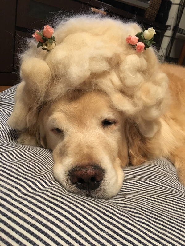 ファイル 6348-4.jpg