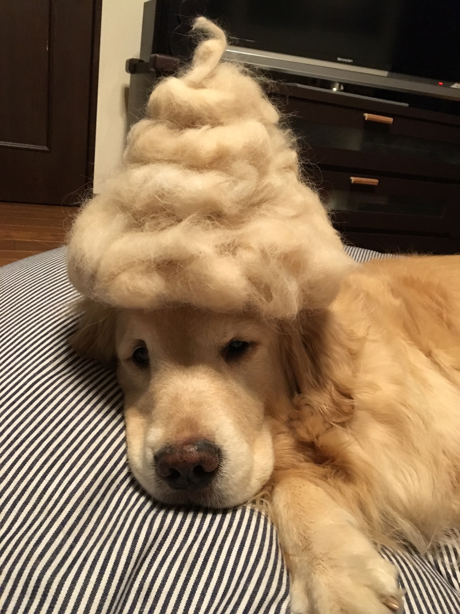 ファイル 6348-5.jpg