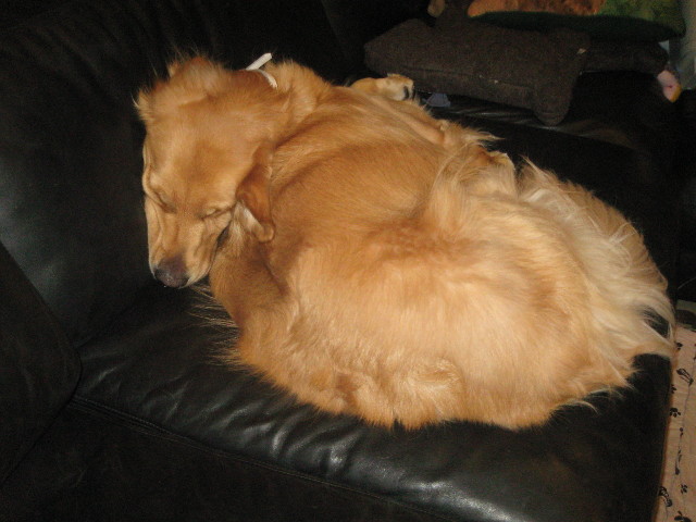 ファイル 635-5.jpg