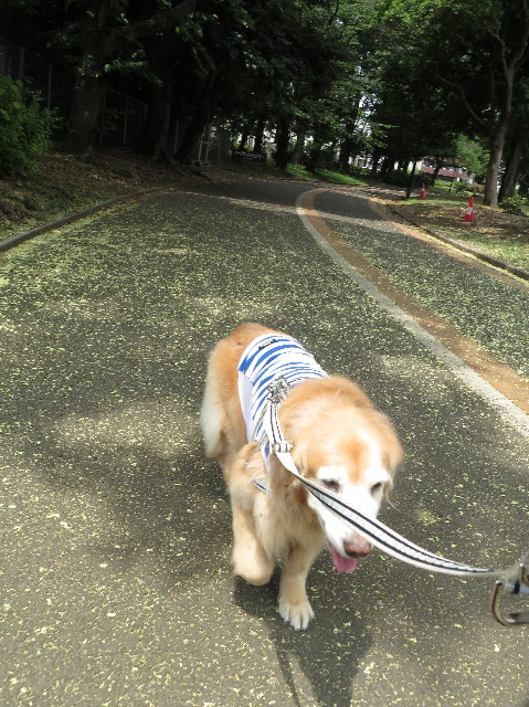 ファイル 6351-2.jpg