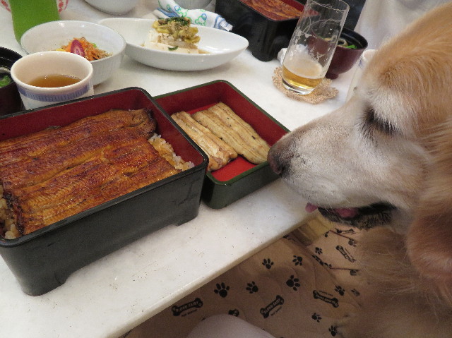 ファイル 6352-1.jpg