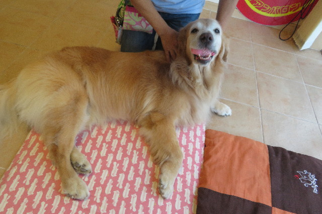 ファイル 6354-2.jpg