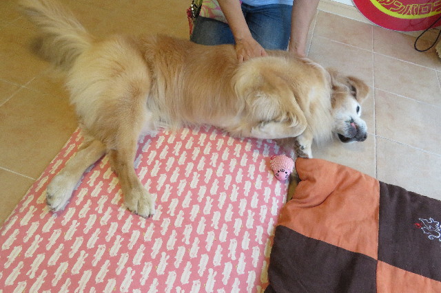 ファイル 6354-3.jpg