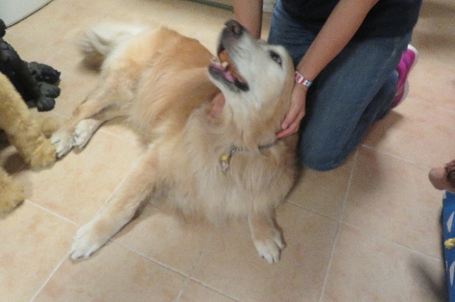 ファイル 6356-4.jpg