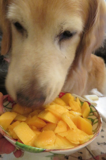 ファイル 6357-1.jpg