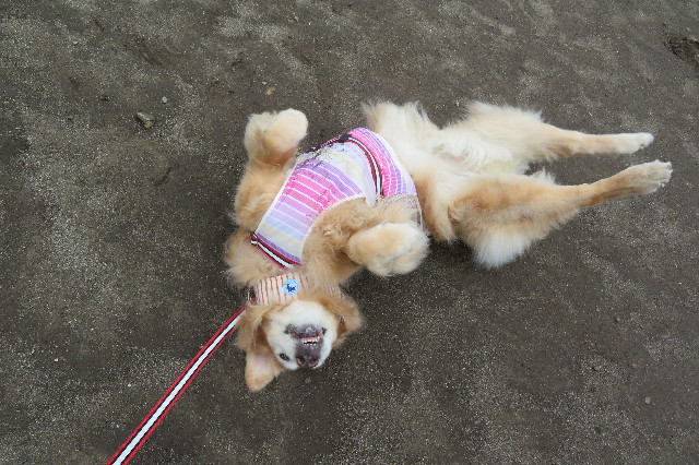 ファイル 6357-2.jpg