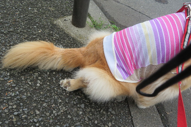 ファイル 6357-3.jpg