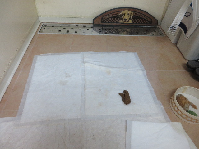 ファイル 6357-5.jpg