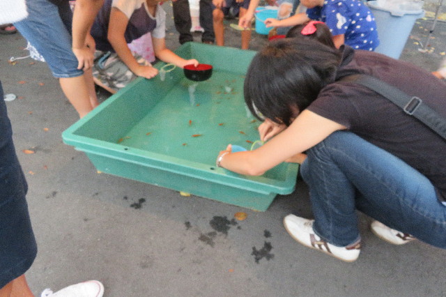 ファイル 6358-3.jpg