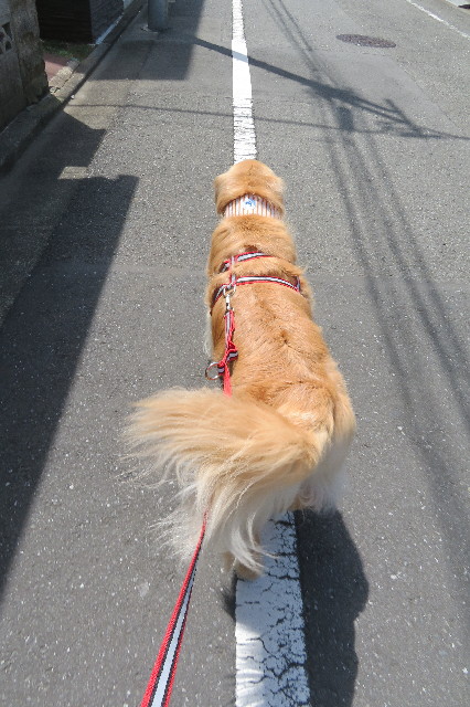 ファイル 6359-2.jpg