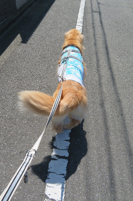 ファイル 6359-3.jpg