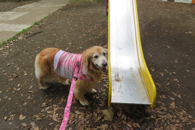 ファイル 6359-5.jpg