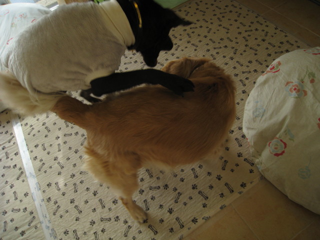 ファイル 636-2.jpg