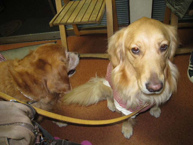 ファイル 636-4.jpg