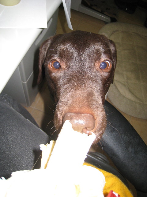 ファイル 636-5.jpg