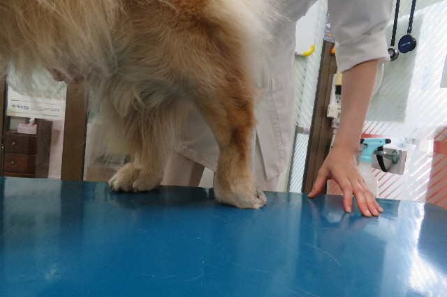 ファイル 6360-1.jpg