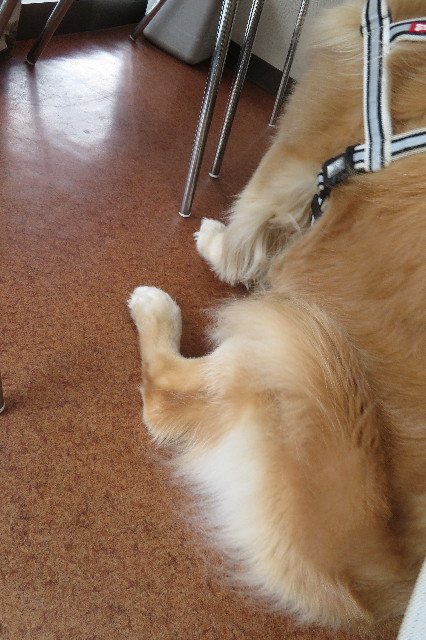 ファイル 6360-2.jpg