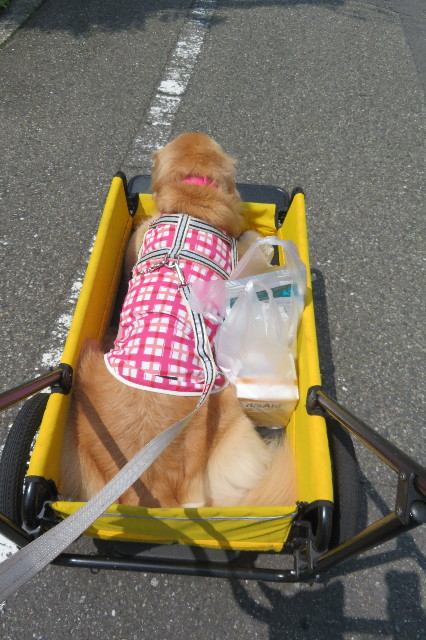 ファイル 6360-5.jpg