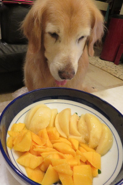 ファイル 6362-2.jpg