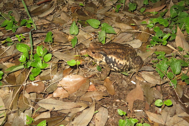 ファイル 6364-4.jpg