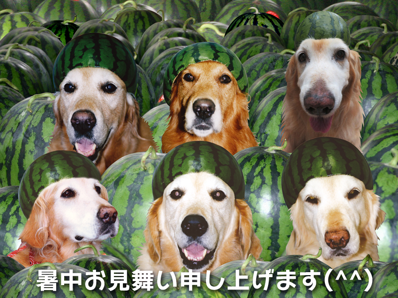 ファイル 6366-1.jpg