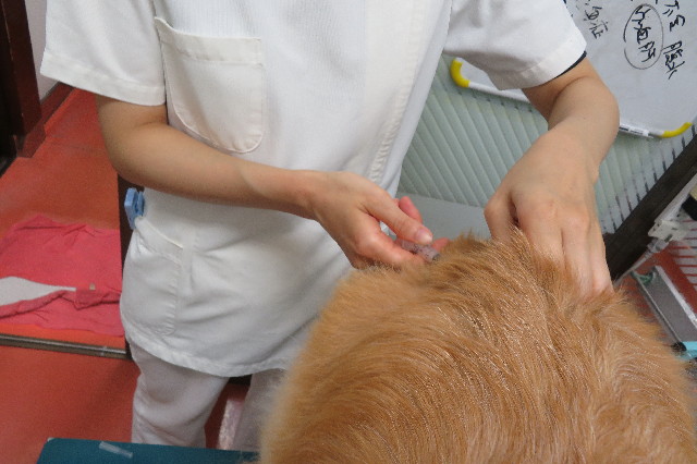 ファイル 6368-3.jpg