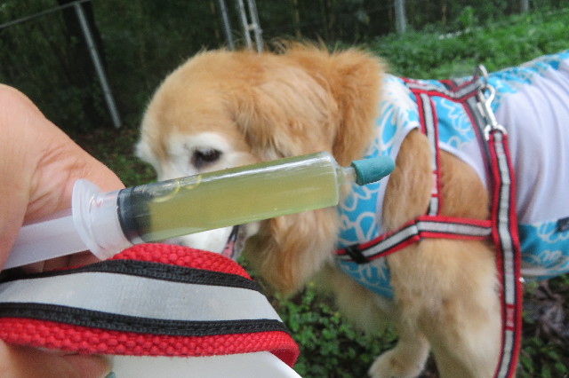 ファイル 6369-3.jpg