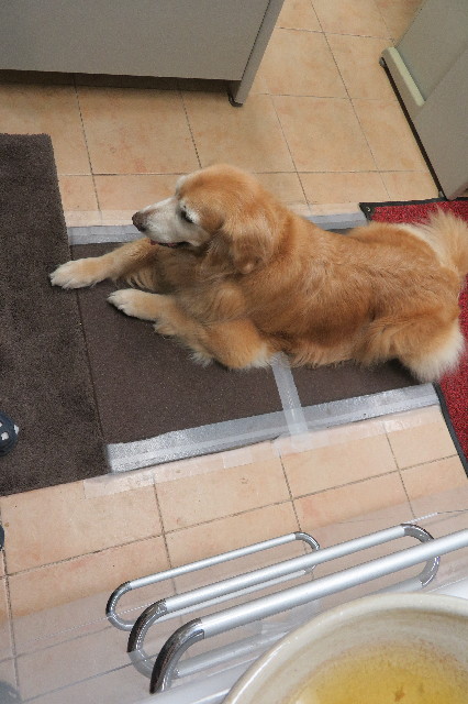 ファイル 6369-5.jpg