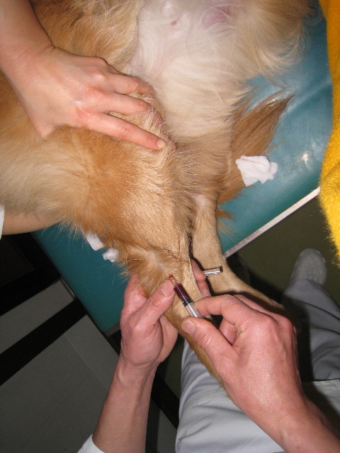 ファイル 637-4.jpg