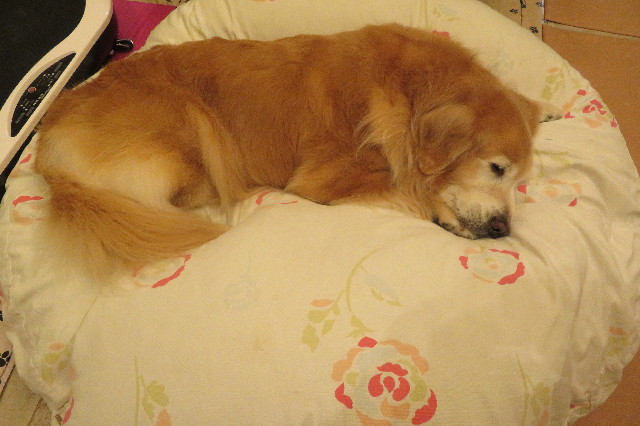 ファイル 6370-2.jpg