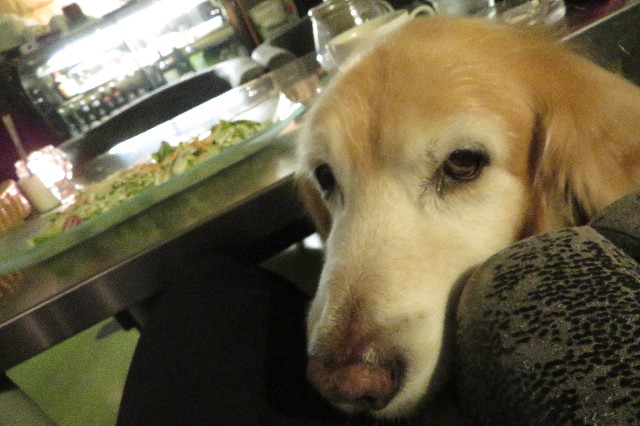 ファイル 6370-3.jpg