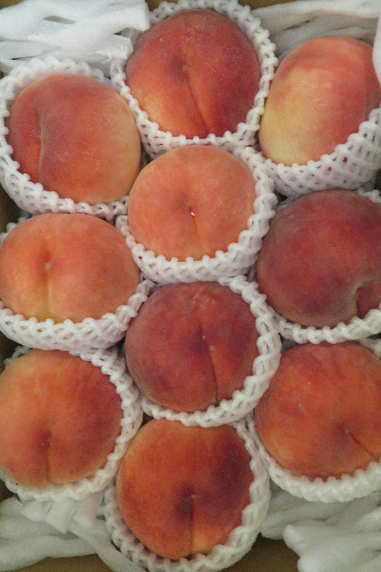 ファイル 6371-5.jpg