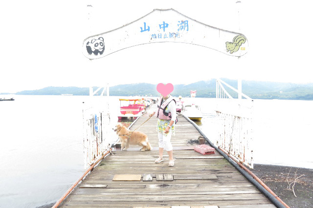 ファイル 6372-1.jpg