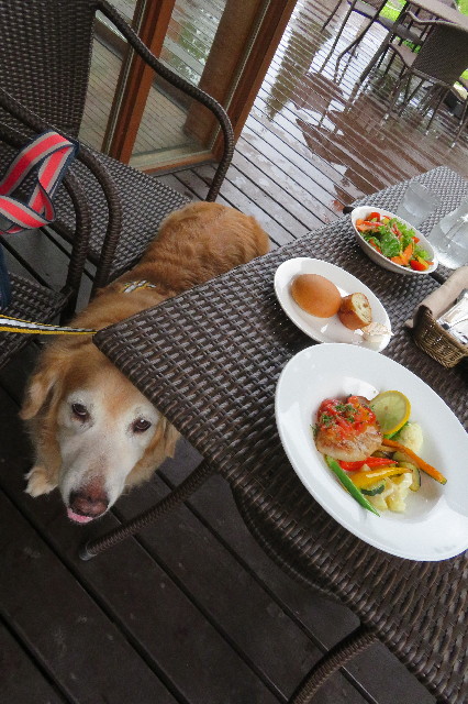 ファイル 6372-5.jpg