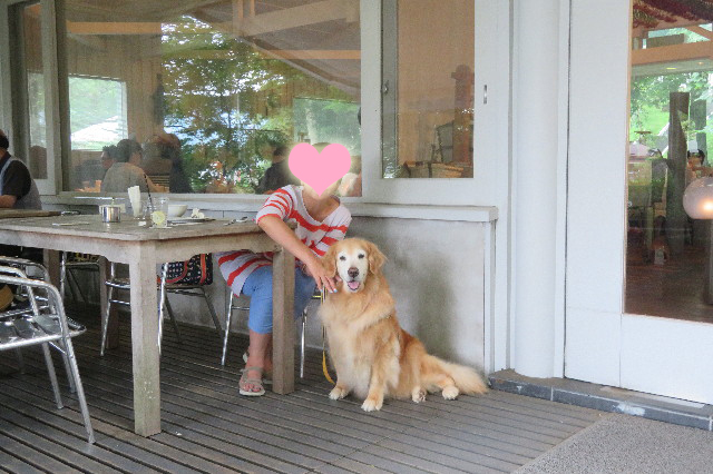 ファイル 6374-5.jpg