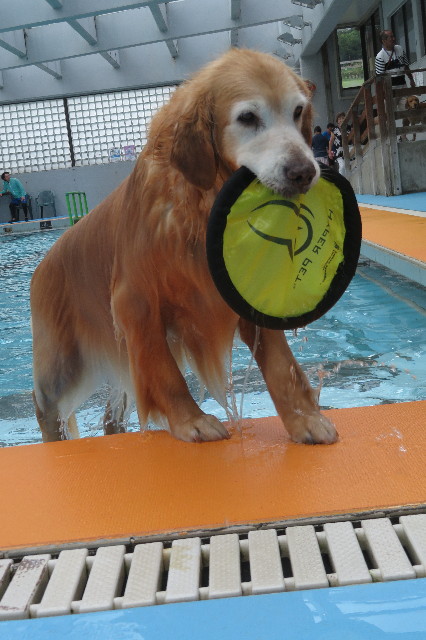 ファイル 6375-3.jpg