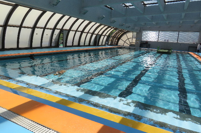 ファイル 6376-2.jpg