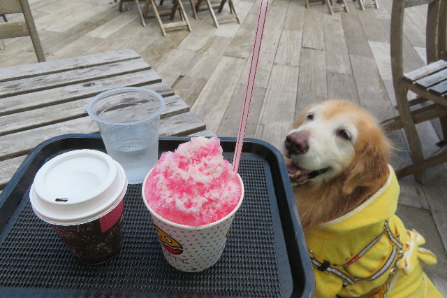 ファイル 6376-3.jpg