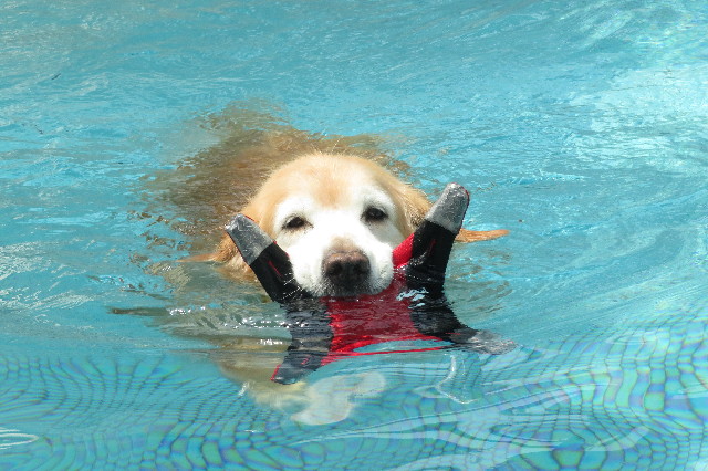 ファイル 6377-1.jpg