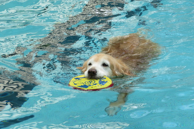 ファイル 6379-2.jpg