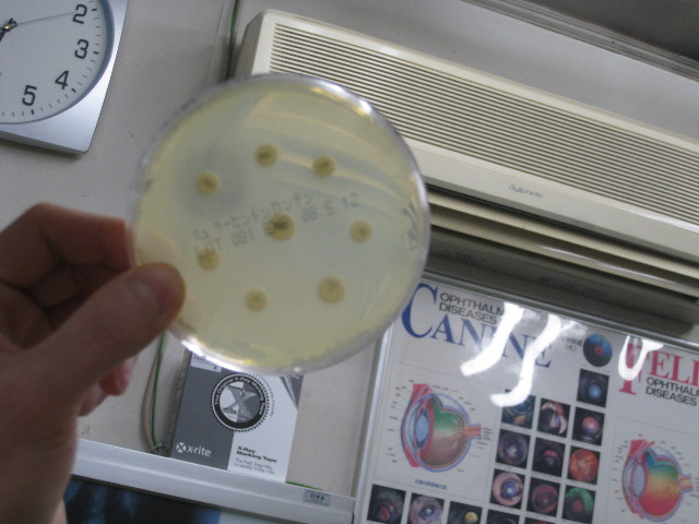 ファイル 638-5.jpg