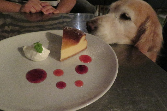 ファイル 6381-2.jpg