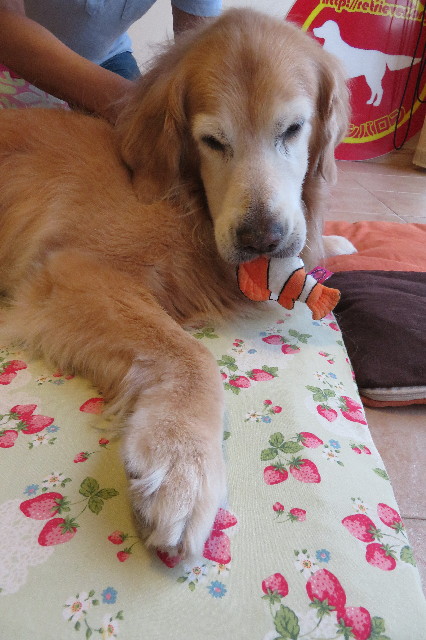 ファイル 6381-4.jpg