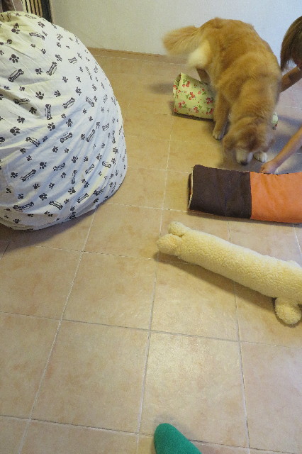 ファイル 6381-5.jpg