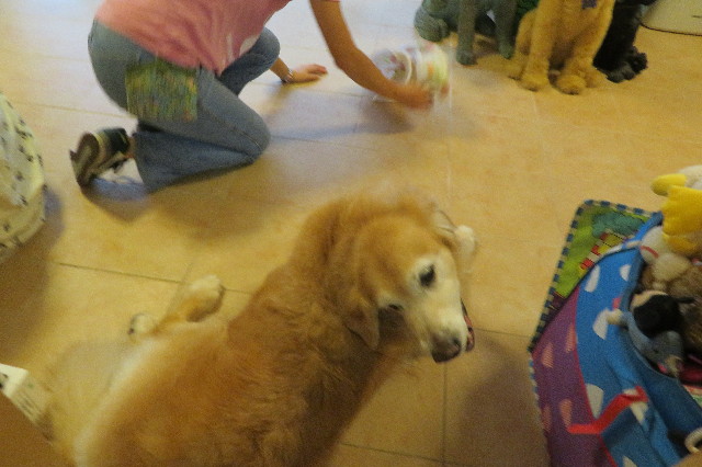 ファイル 6382-4.jpg